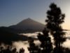 Obrázek TENERIFE