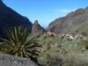 Obrázek TENERIFE