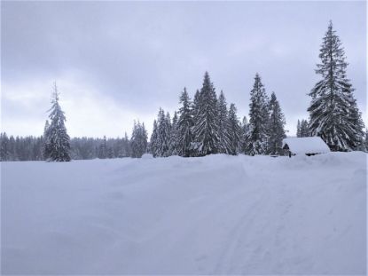 Obrázek Krušné hory – Boží Dar