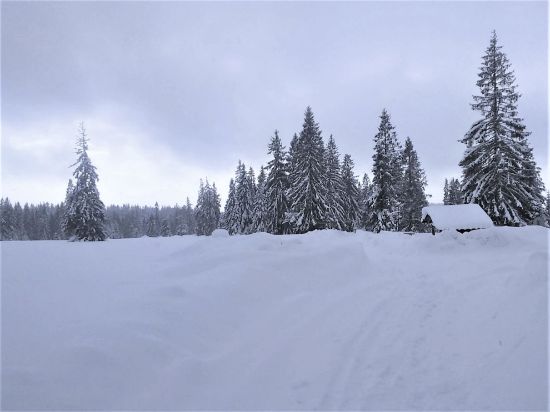Obrázek Krušné hory – Boží Dar