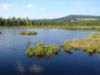 Obrázek ŠUMAVA - centrální část