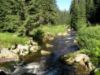 Obrázek ŠUMAVA - turistické toulky