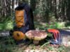Obrázek ŠUMAVA - turistické toulky