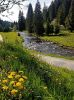 Obrázek ŠUMAVA - turistické toulky