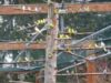 Obrázek Dinopark a ZOO - Vyškov pro děti