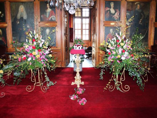 Obrázek Kamélie + zámek Rájec-J.