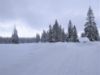 Obrázek Jizerské hory a Harrachov