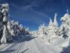 Obrázek Jizerské hory a Harrachov