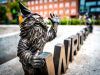 Obrázek WROCLAW A ÚDOLÍ ŘEKY BARYCZY