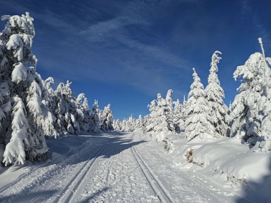Obrázek Orlické hory - Deštná + Šerlich