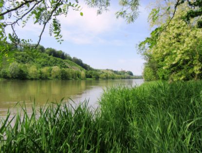 Obrázek MORAVSKÉ TOPLICE