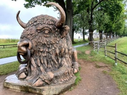 Obrázek CYKLOTOULKY KORUNOU VYSOČINY