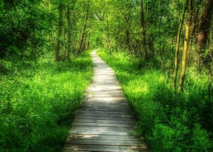 Obrázek WARSZAWA A KAMPINOSKI NP